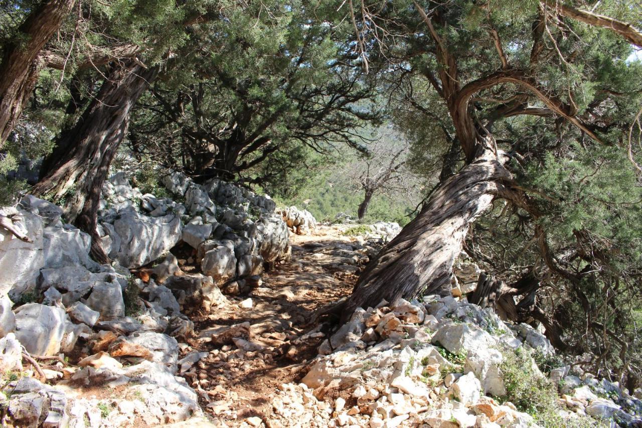 B&B Issicoro Baunei Buitenkant foto