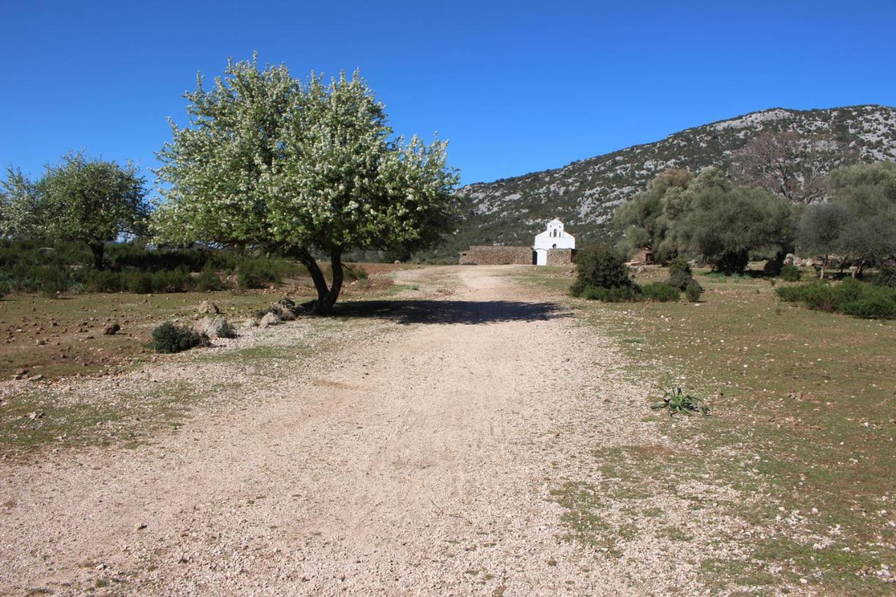 B&B Issicoro Baunei Buitenkant foto
